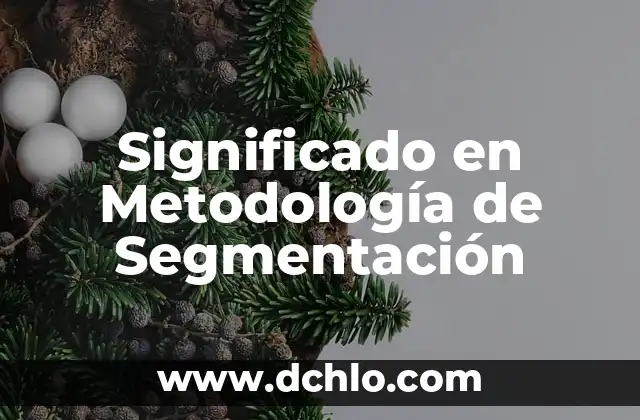 Significado en medicina de disuria 6 Significado en Metodología de Segmentación