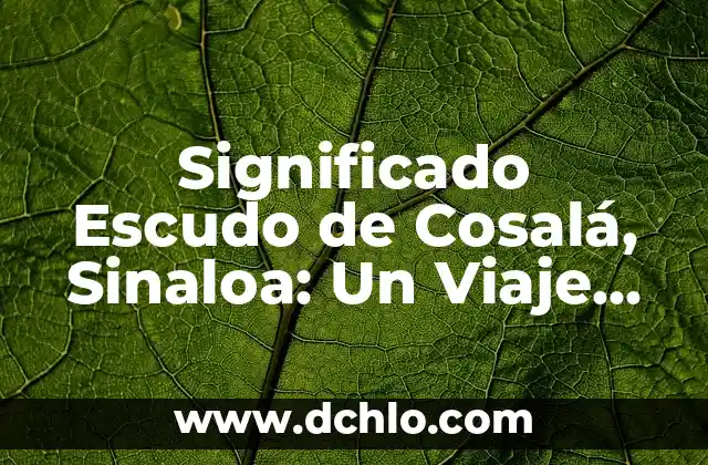 Espada de Simón Bolívar significado 6 Significado Escudo de Cosalá, Sinaloa: Un Viaje Histórico y Cultural