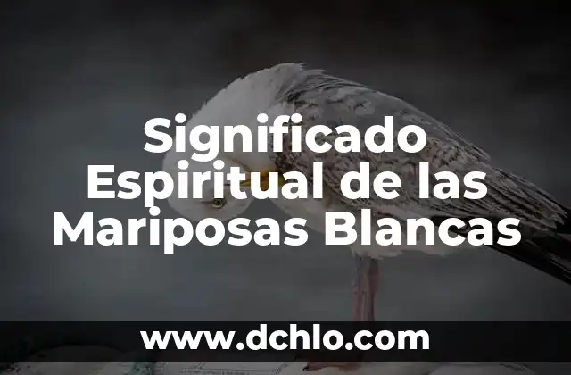 El Simbolismo del Color en las Mariposas 3 Significado Espiritual de las Mariposas Blancas