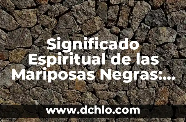 El Simbolismo del Color en las Mariposas 4 Significado Espiritual de las Mariposas Negras: Un Viaje a lo Sobrenatural