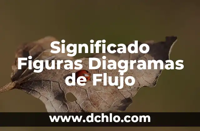 Significado en Diagramas de Flujo: Una Guía Completa 6 Significado Figuras Diagramas de Flujo