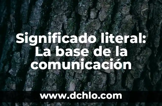 Internet como Medio de Comunicación: Su Significado en la Era Digital 7 Significado literal: La base de la comunicación