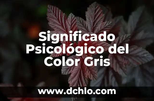 Colores que Combinan con Gris Oscuro: Guía Completa para Diseñadores y Decoradores 5 Significado Psicológico del Color Gris