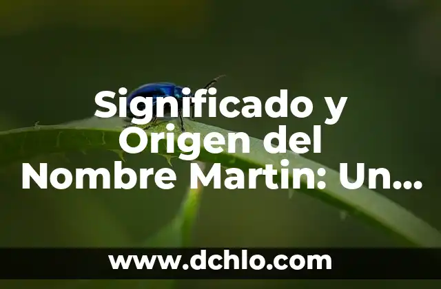 Dani Martín y El Canto del Loco: Una Trayectoria de Éxito en la Música Española 5 Significado y Origen del Nombre Martin: Un Análisis Detallado