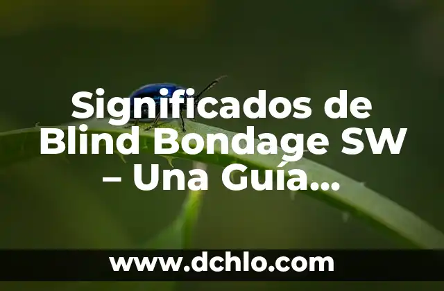 Significados del Color de la Ropa Interior 6 Significados de Blind Bondage SW – Una Guía Completa