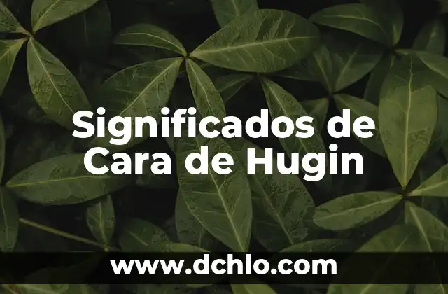 Cómo hacer la cara de Momo 3 Significados de Cara de Hugin