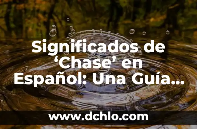 Significados del Color de la Ropa Interior 3 Significados de ‘Chase’ en Español: Una Guía Completa