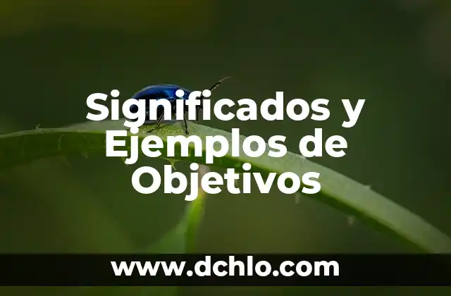 Significados del Nombre de Veracruz 7 Significados y Ejemplos de Objetivos