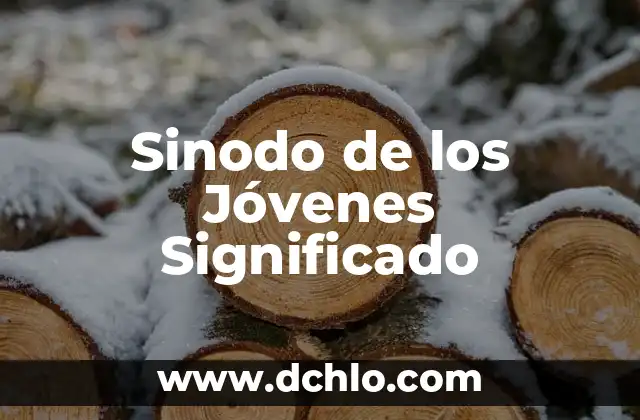 El significado de cril 4 Sinodo de los Jóvenes Significado