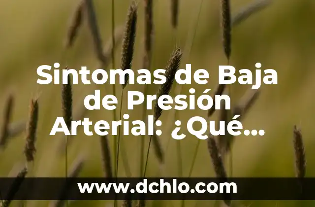 ¿Con qué se mide la presión? Una Guía Completa y Detallada 3 Sintomas de Baja de Presión Arterial: ¿Qué Debes Saber?
