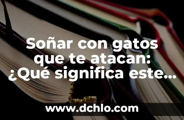¿Qué Tipo de Palabra es Lo? Análisis y Ejemplos 4 Soñar con gatos que te atacan: ¿Qué significa este tipo de sueño?