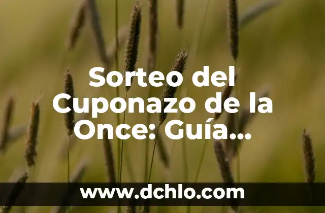 Cuánto Pesa un Niño de 2 Años: Guía Detallada y Actualizada 6 Sorteo del Cuponazo de la Once: Guía Completa y Actualizada