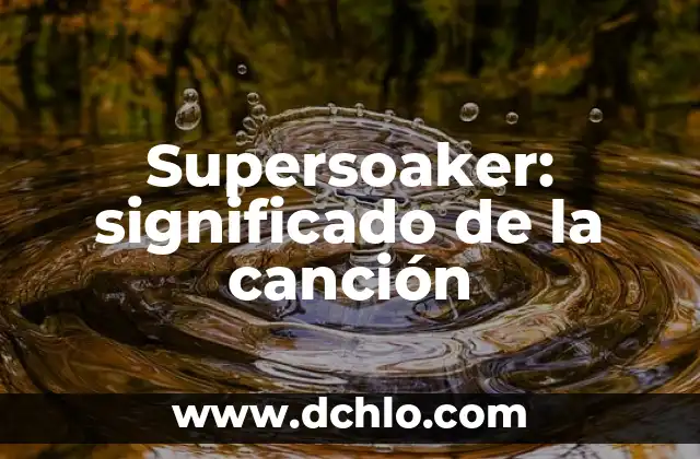 El Significado de la Canción Miño de Arde Bogotá 4 Supersoaker: significado de la canción