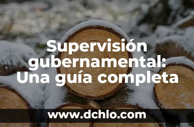 Investigar el Significado de Determiners: Guía Completa y Detallada 3 Supervisión gubernamental: Una guía completa