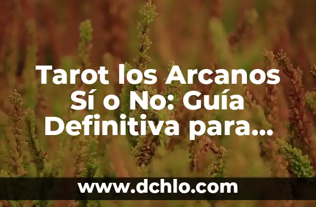 Significado de Ó y O: La Guía Definitiva 5 Tarot los Arcanos Sí o No: Guía Definitiva para Principiantes