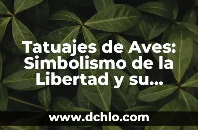 Tipos de significados de libertad: Un viaje a través de sus múltiples facetas 3 Tatuajes de Aves: Simbolismo de la Libertad y su Significado Profundo