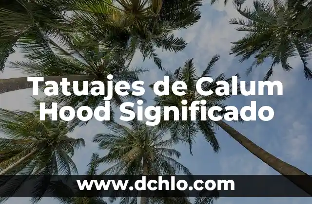 Diccionario significado de pocholo 7 Tatuajes de Calum Hood Significado