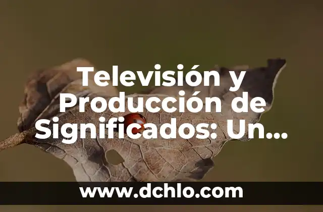 Cómo hacer un flujograma de procesos de producción 8 Televisión y Producción de Significados: Un Viaje a la Creación de Realidades