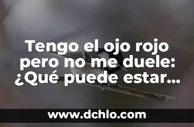 Tuve la regla y sigo manchando: ¿Qué está pasando? 8 Tengo el ojo rojo pero no me duele: ¿Qué puede estar pasando?