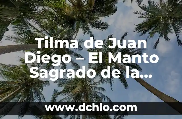 El manto terrestre: Entendiendo su significado y funcionalidad 3 Tilma de Juan Diego – El Manto Sagrado de la Virgen de Guadalupe