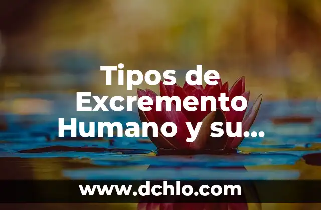 Tipos de Labios y su Significado: Un Análisis Detallado 3 Tipos de Excremento Humano y su Significado