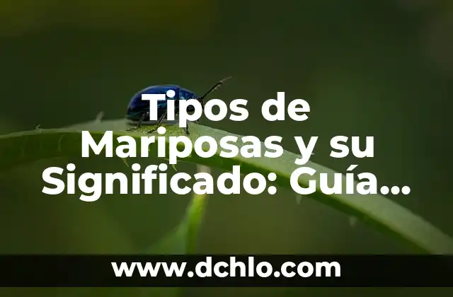 El Simbolismo del Color en las Mariposas 8 Tipos de Mariposas y su Significado: Guía Completa
