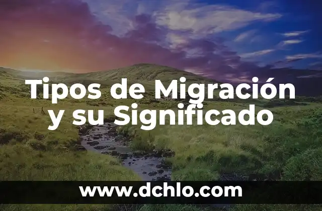 ¿Qué son los diferentes tipos de manchas en la piel? 3 Tipos de Migración y su Significado
