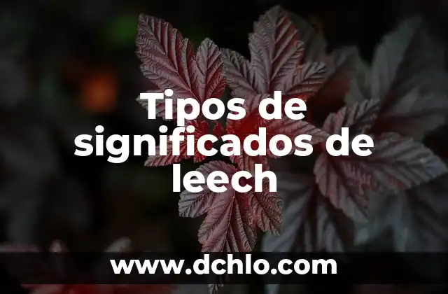 Tipos de Recuperación de Significado 3 Tipos de significados de leech