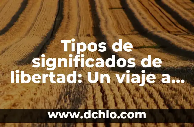 Viajar Ligero de Equipaje: El Arte de Moverse con Libertad 5 Tipos de significados de libertad: Un viaje a través de sus múltiples facetas