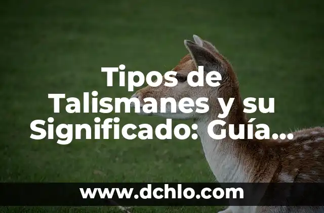 ¿Qué son los diferentes tipos de manchas en la piel? 7 Tipos de Talismanes y su Significado: Guía Completa