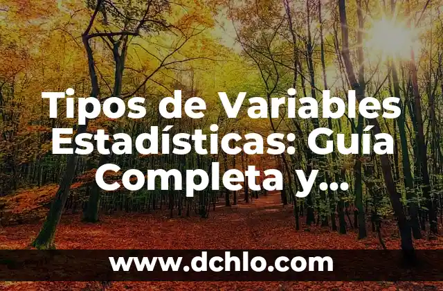 Significado de Variables en Informática 4 Tipos de Variables Estadísticas: Guía Completa y Detallada