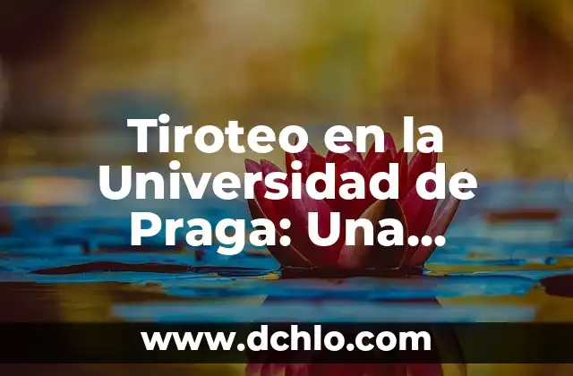 El Mundo de los Lexicógrafos 8 Tiroteo en la Universidad de Praga: Una Tragedia que Conmocionó al Mundo