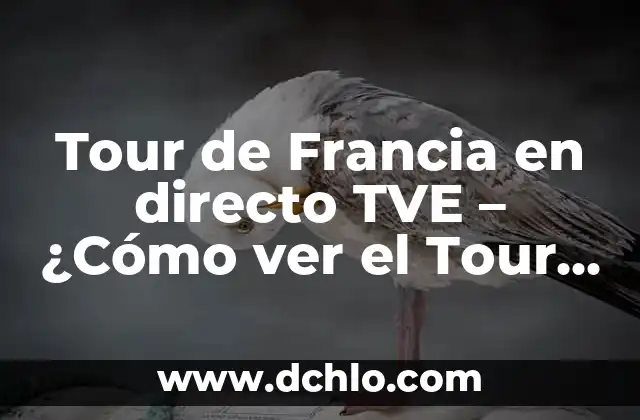 Tour de Francia en directo TVE – ¿Cómo ver el Tour de Francia en vivo en TVE?