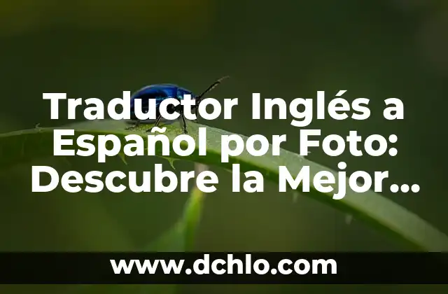 El Otoscopio: Una Herramienta Esencial en la Medicina 8 Traductor Inglés a Español por Foto: Descubre la Mejor Herramienta