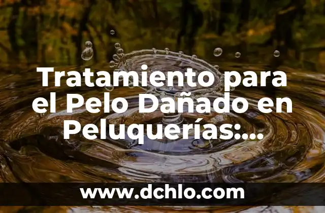 ¿Para qué sirve la linaza en el cabello? Aumenta el crecimiento y la salud capilar 6 Tratamiento para el Pelo Dañado en Peluquerías: Soluciones para Revitalizar su Cabello