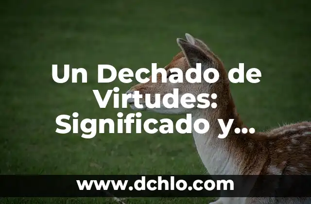 Dejo de esperanza: significado y concepto 5 Un Dechado de Virtudes: Significado y Concepto