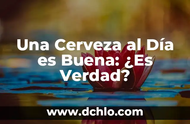 ¿Es buena la avena para adelgazar? 6 Una Cerveza al Día es Buena: ¿Es Verdad?