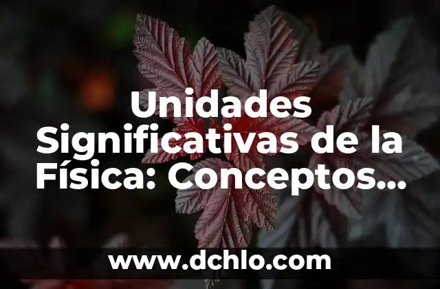 Significado de Varion en Física 5 Unidades Significativas de la Física: Conceptos y Aplicaciones