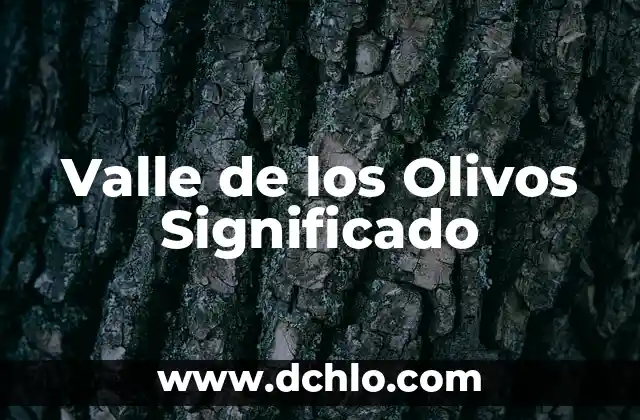 Valle Significado de la Palabra 5 Valle de los Olivos Significado