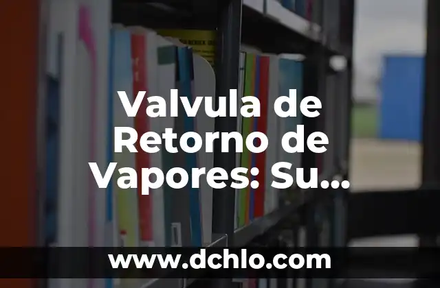 Controlador de computadora: significado y función en los sistemas informáticos 6 Valvula de Retorno de Vapores: Su Importancia en Sistemas Térmicos