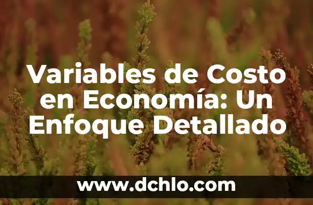 Significado de Variables en Informática 3 Variables de Costo en Economía: Un Enfoque Detallado
