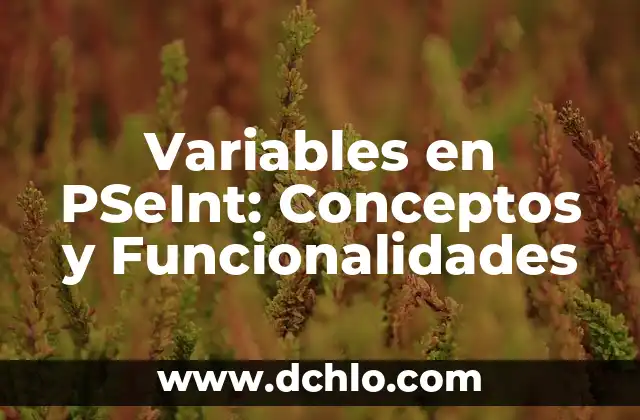 Variables en PSeInt: Conceptos y Funcionalidades