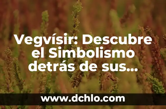 USA - El significado detrás de sus siglas 4 Vegvísir: Descubre el Simbolismo detrás de sus Signos