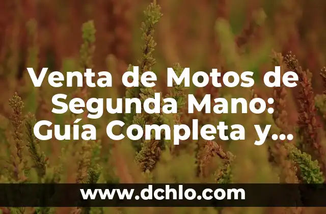 Cuánto Pesa un Niño de 2 Años: Guía Detallada y Actualizada 8 Venta de Motos de Segunda Mano: Guía Completa y Actualizada