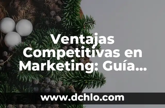 Compendio de Palabras Significativas - Una Guía Completa 5 Ventajas Competitivas en Marketing: Guía Completa