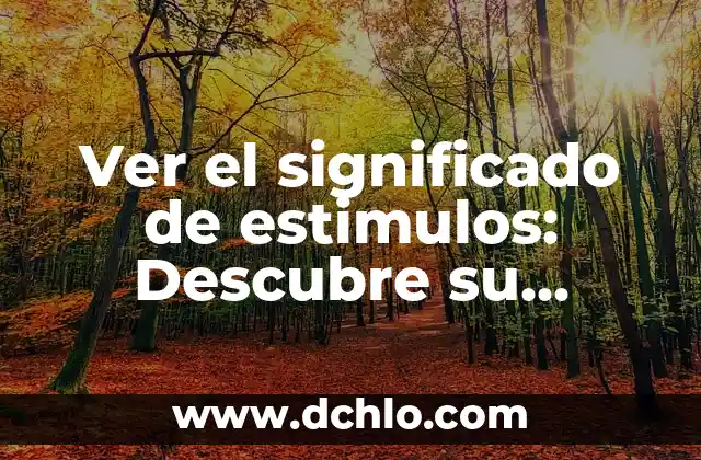 De Nuestra Consideración Significado: Explorando la Profundidad de Nuestra Reflexión 4 Ver el significado de estimulos: Descubre su importancia en nuestra vida diaria