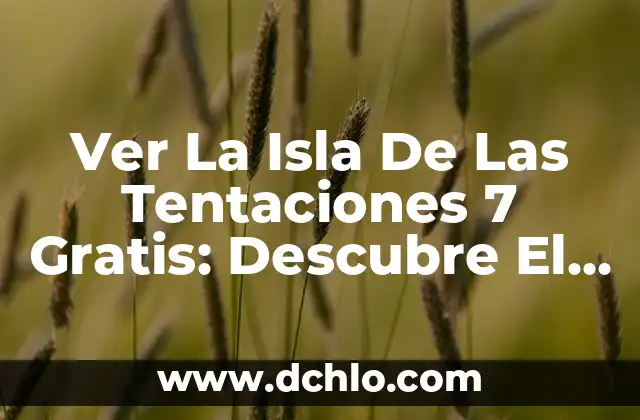 Alex, la Isla de las Tentaciones 7: El Reality Show de Supervivencia más Emocionante 4 Ver La Isla De Las Tentaciones 7 Gratis: Descubre El Reality Show Más Popular